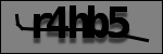 Text per identificar