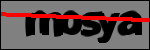 Text per identificar