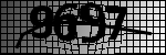 Text per identificar