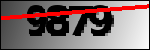 Text per identificar