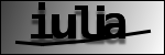Text per identificar