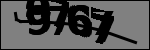 Text per identificar