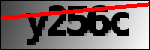 Text per identificar