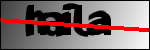 Text per identificar
