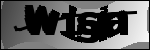 Text per identificar