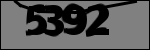 Text per identificar