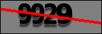 Text per identificar
