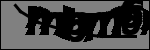 Text per identificar